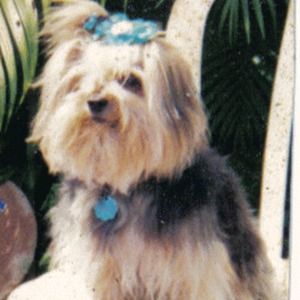 Meet your Posher, Wanda